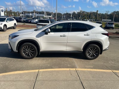 2023 Lexus NX 350 NX 350